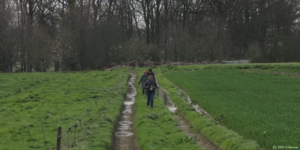 Saint Maclou la Brière (Chemin)