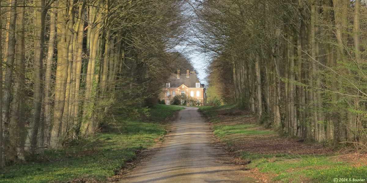 Limpiville (Château 1)