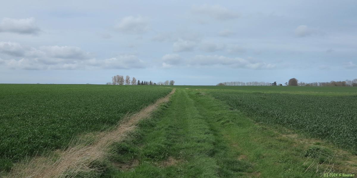 Gonfreville-Caillot (Chemin 2)