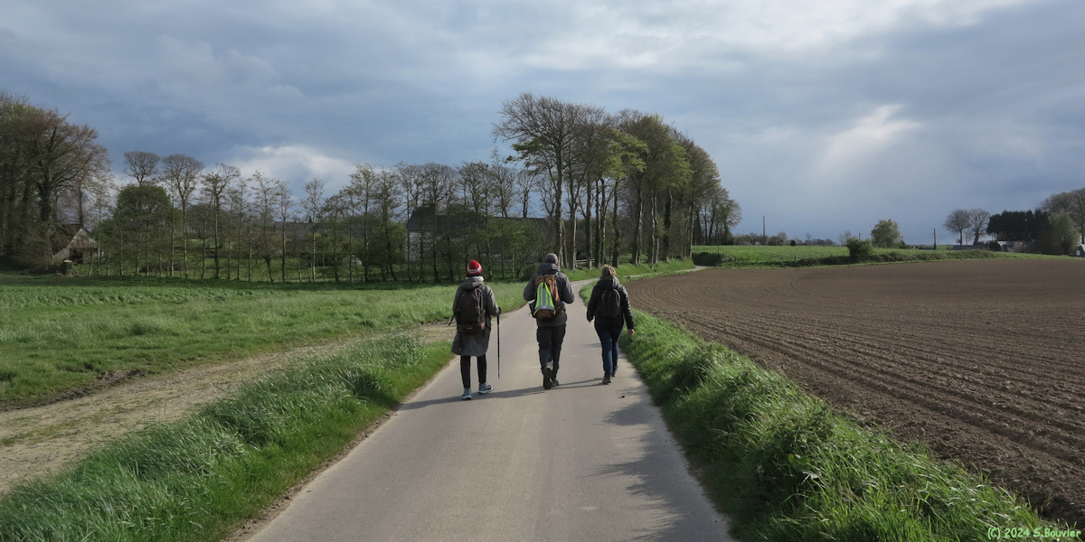 Bretteville du Grand Caux (Route)