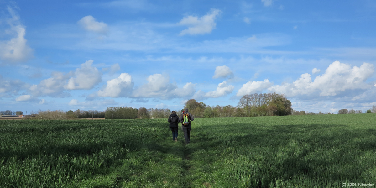 Bretteville du Grand Caux (Chemin)