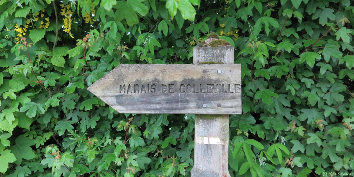 Hermanville sur Mer (Panneau)