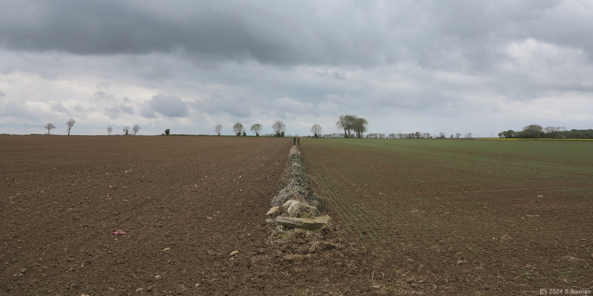 Douvres la Délivrande (Plaine)