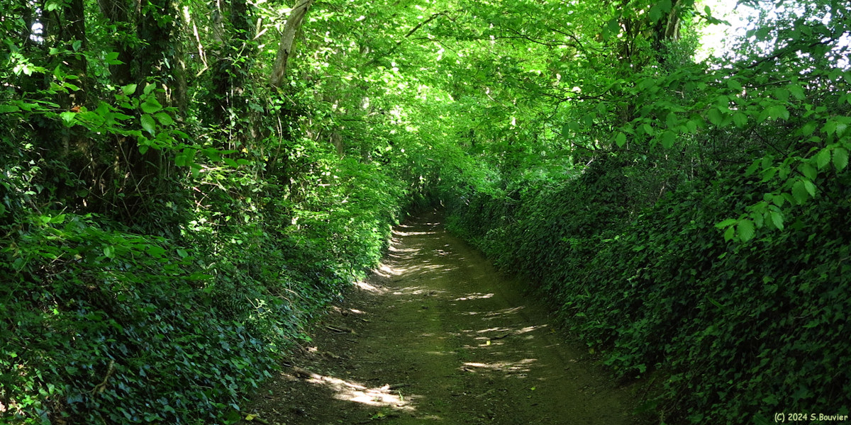Reviers (Chemin)