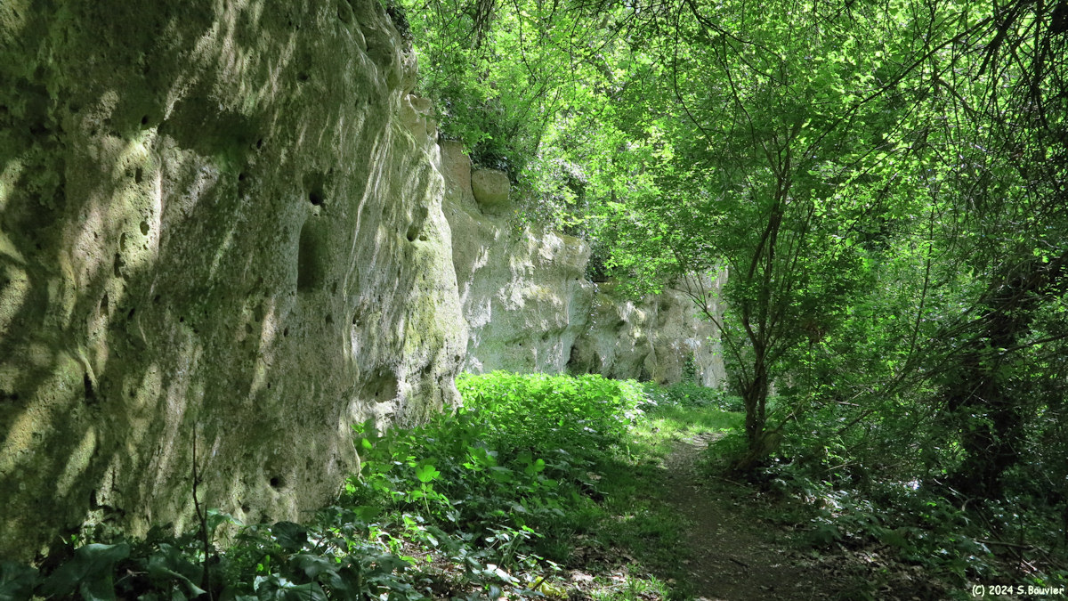 Banville (Falaise 1)