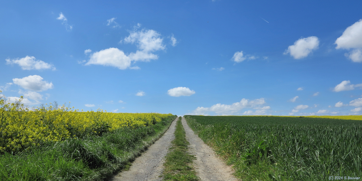 Banville (Chemin)