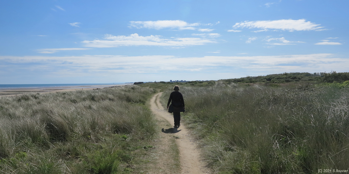 Graye sur Mer (Sentier côtier)