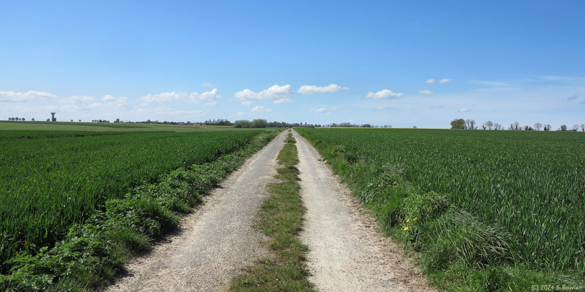 Graye sur Mer (Chemin)