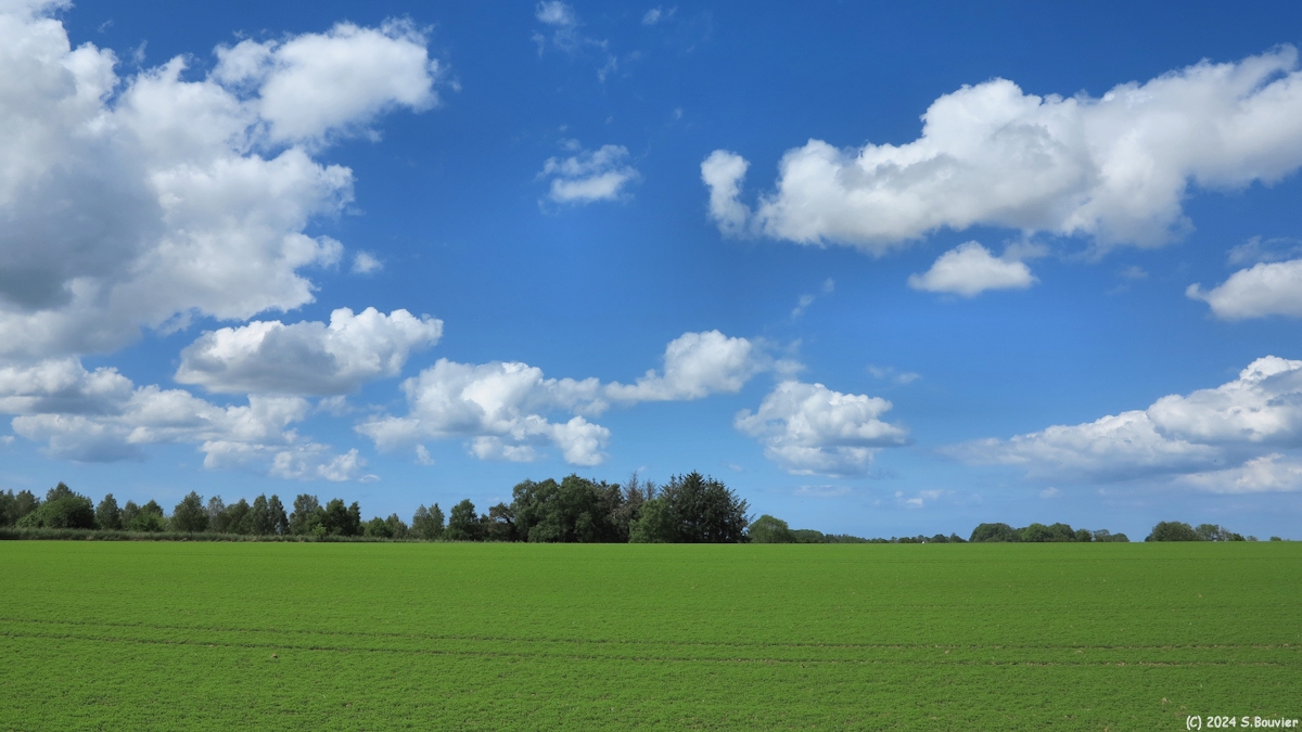 Goderville (Plaine)