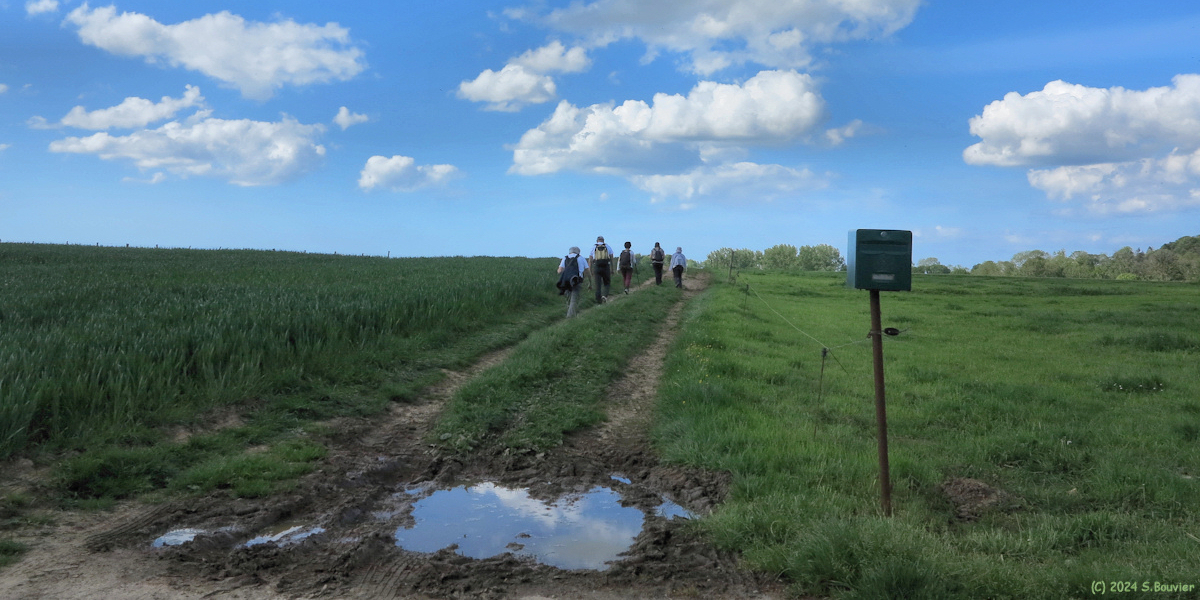 Ecrainville (Chemin 1)