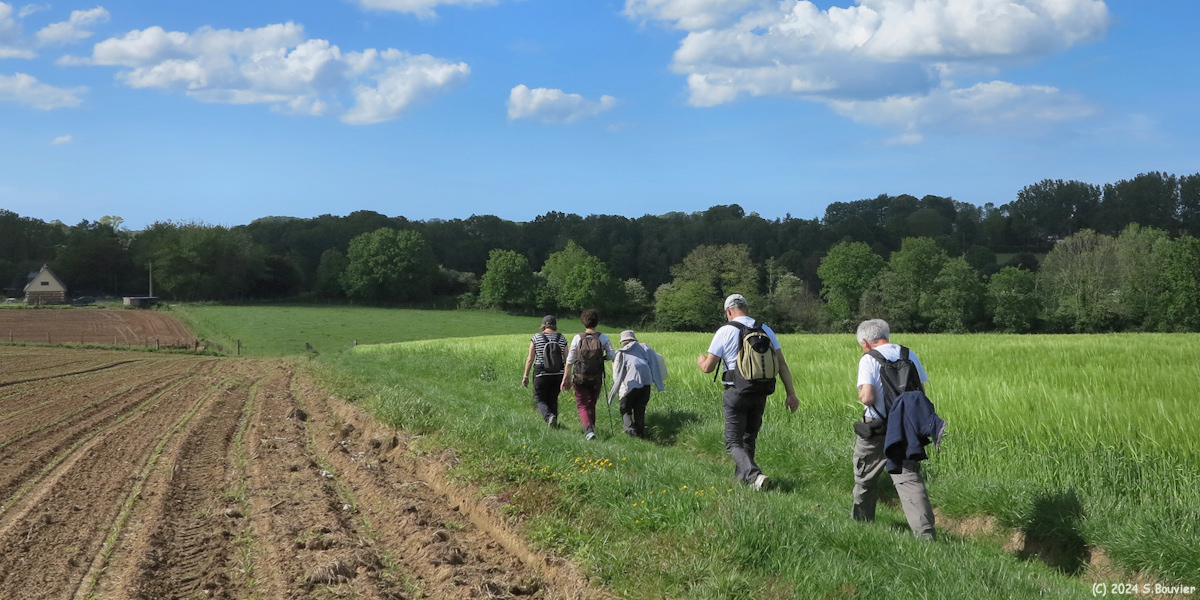 Ecrainville (Chemin 2)