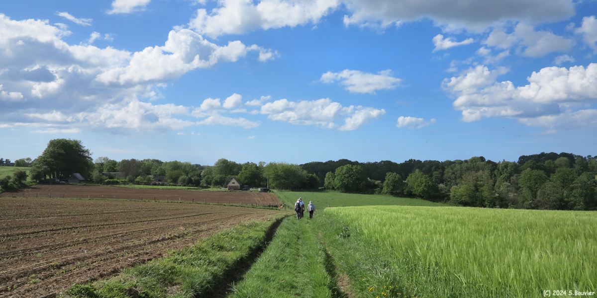 Ecrainville (Chemin 3)