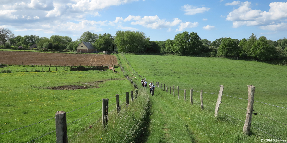 Ecrainville (Chemin 4)