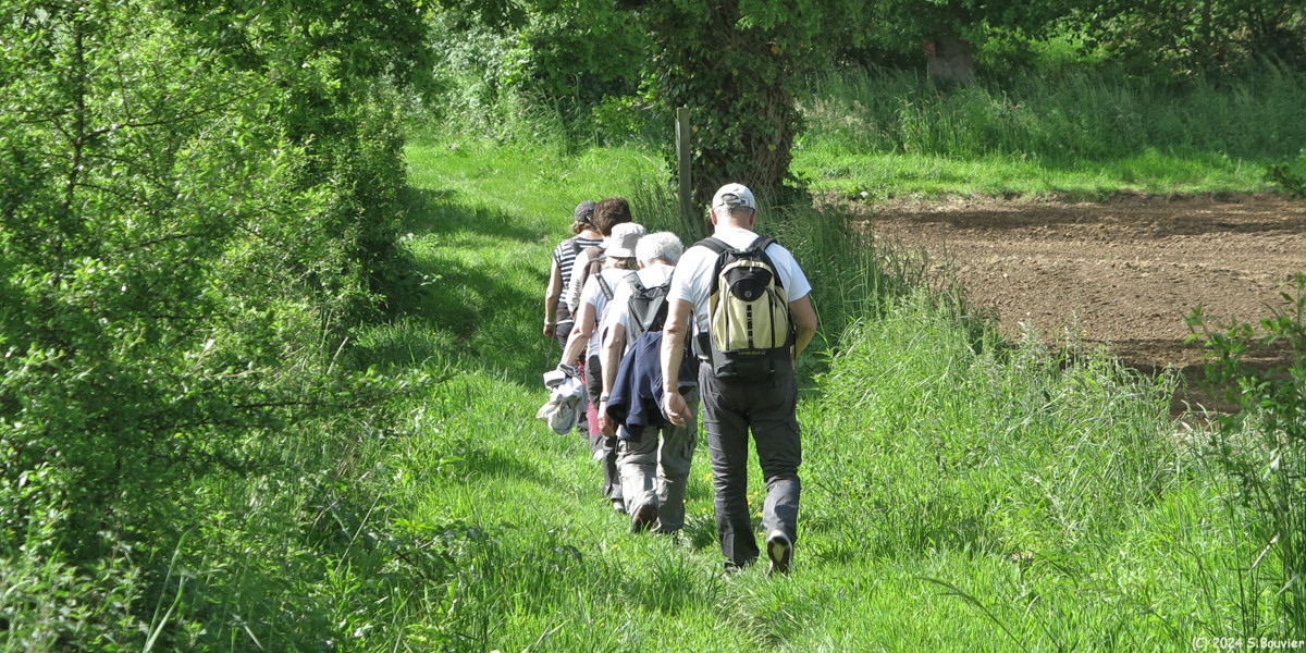 Ecrainville (Chemin 5)