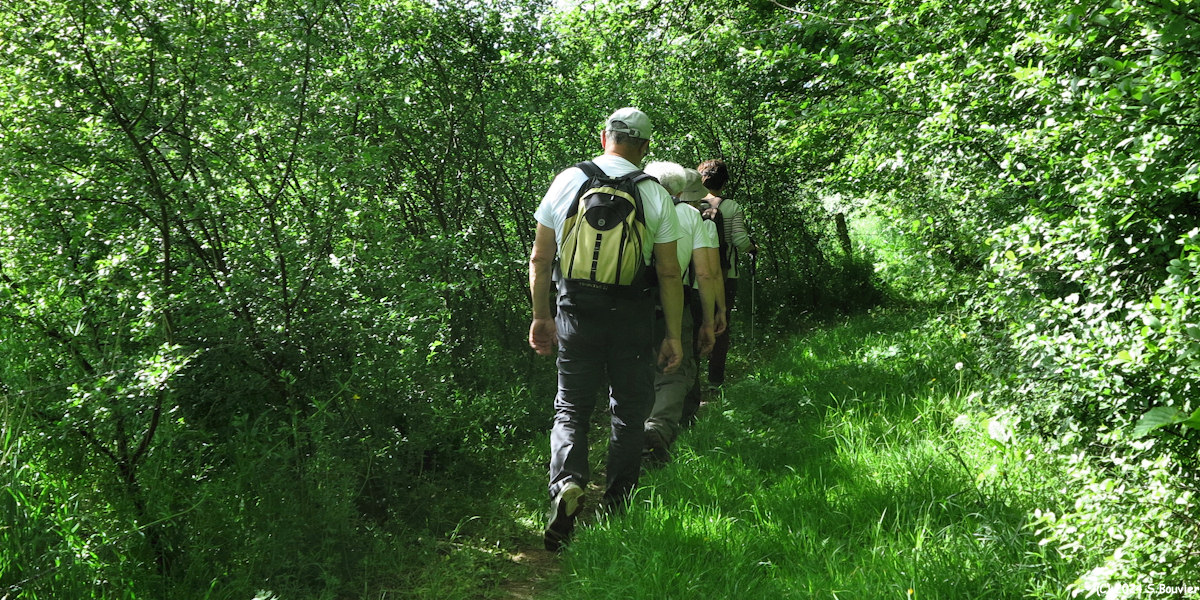 Ecrainville (Chemin 6)