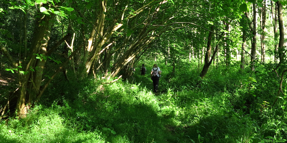 Ecrainville (Chemin 7)