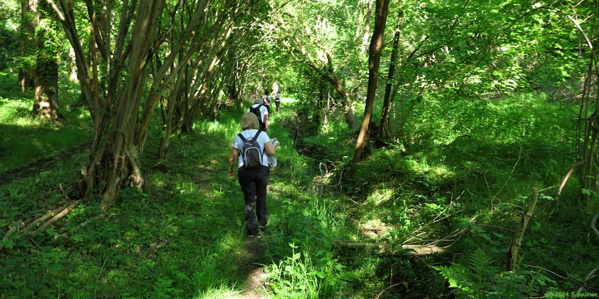 Ecrainville (Chemin 8)