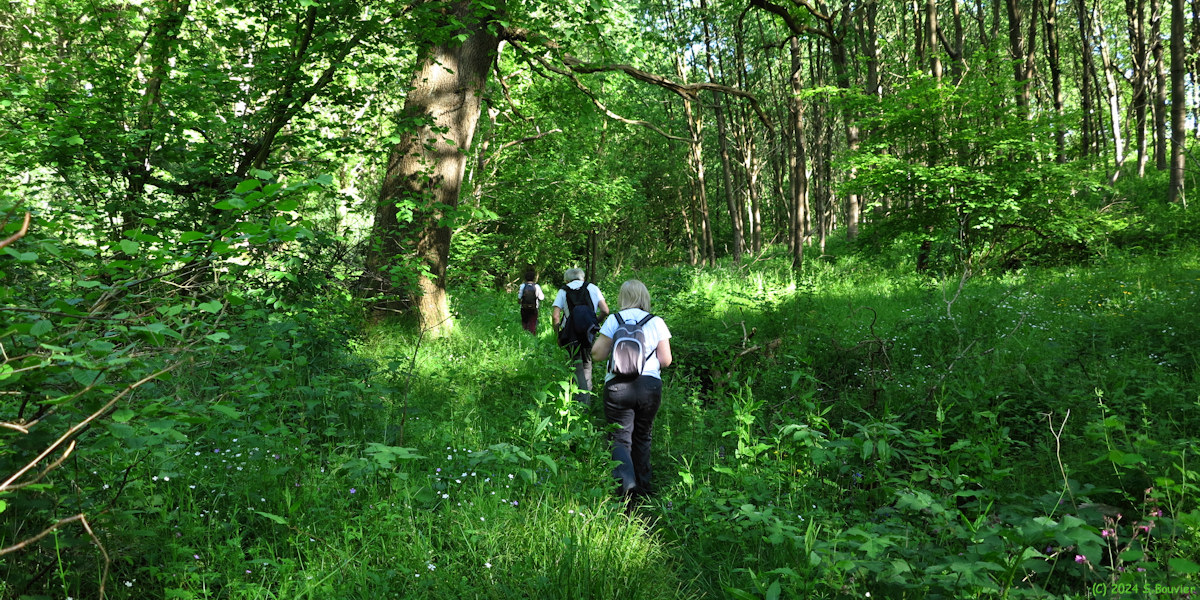 Ecrainville (Chemin 9)