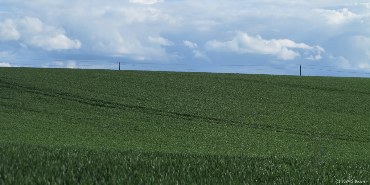 Ecrainville (Plaine)