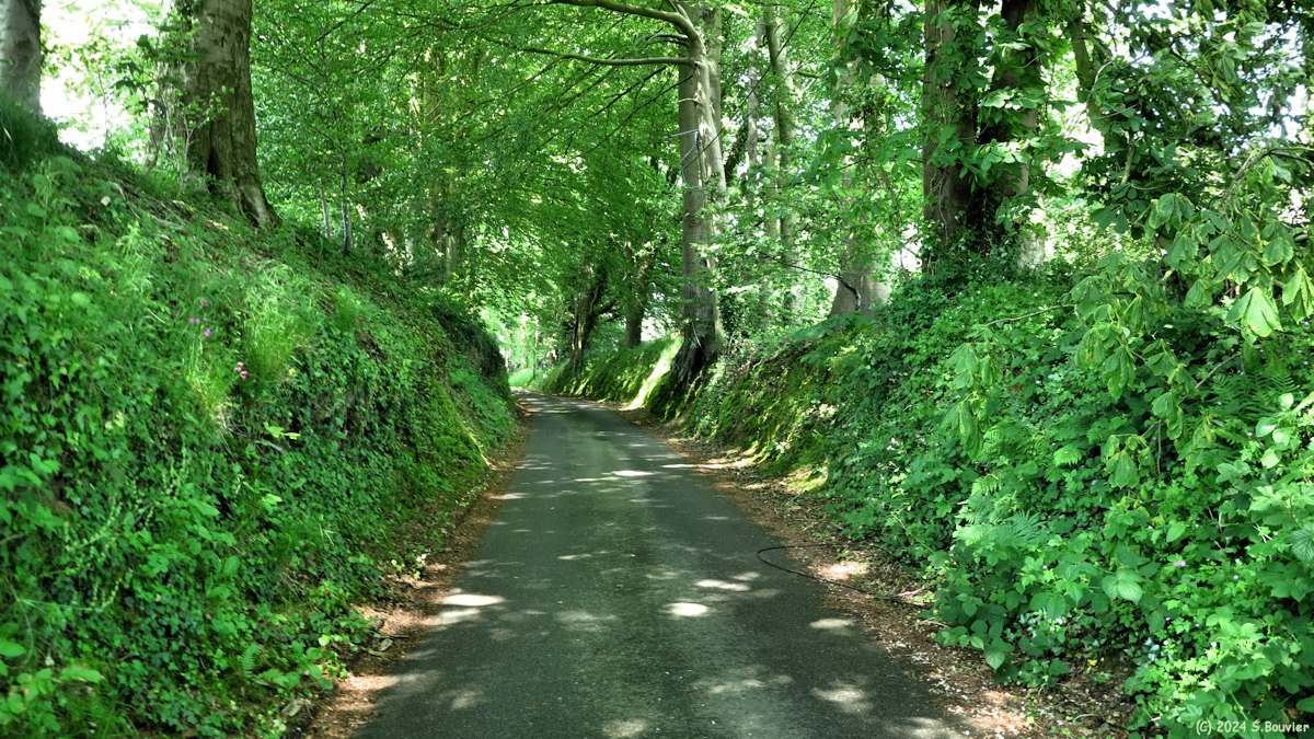 Criquetot l'Esneval (Route 1)