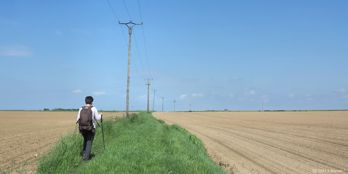 Criquetot l'Esneval (Chemin 2)