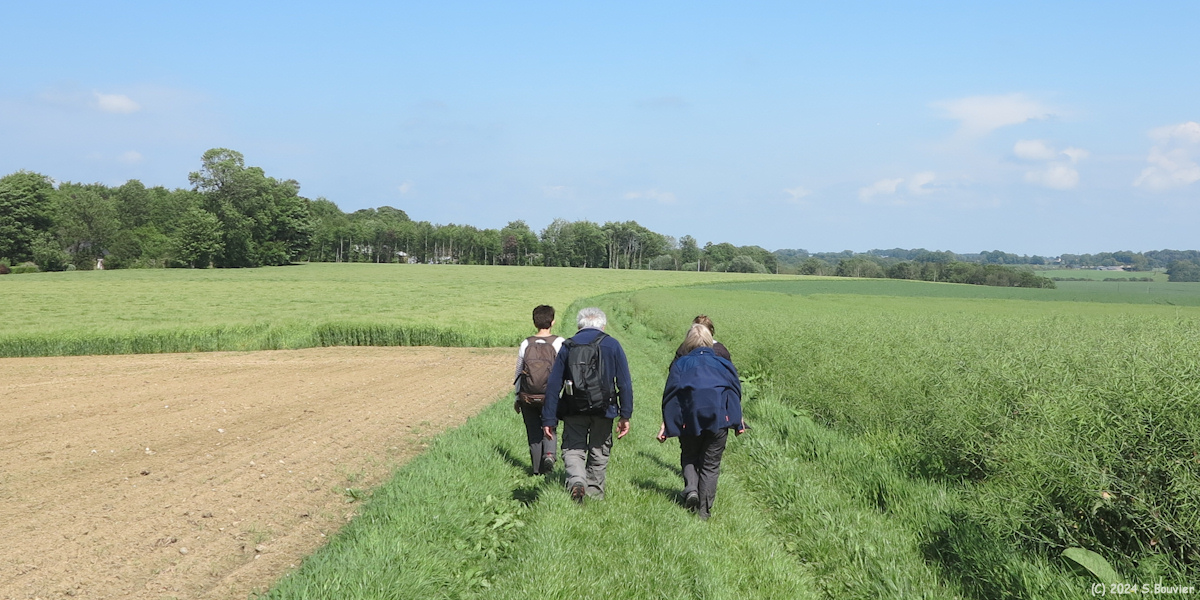Criquetot l'Esneval (Chemin 4)