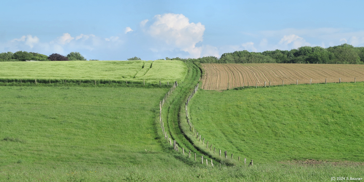 Ecrainville (Chemin 2)