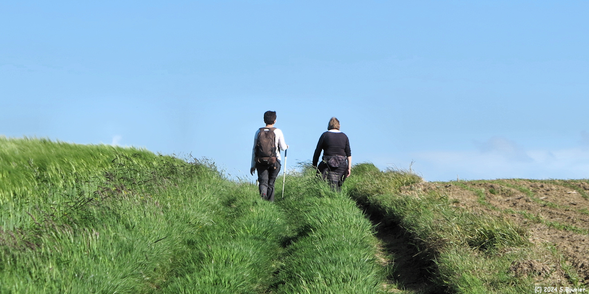 Ecrainville (Chemin 3)