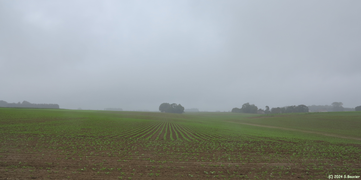 Criquetot l'Esneval (Plaine)