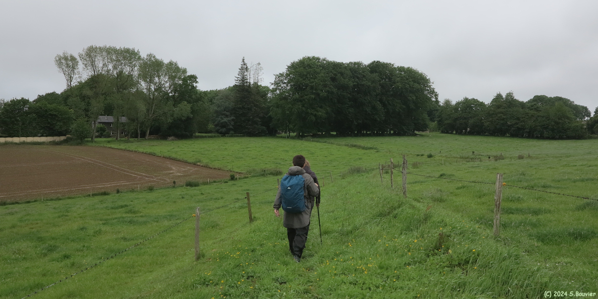 Gonneville la Mallet (Chemin 2)