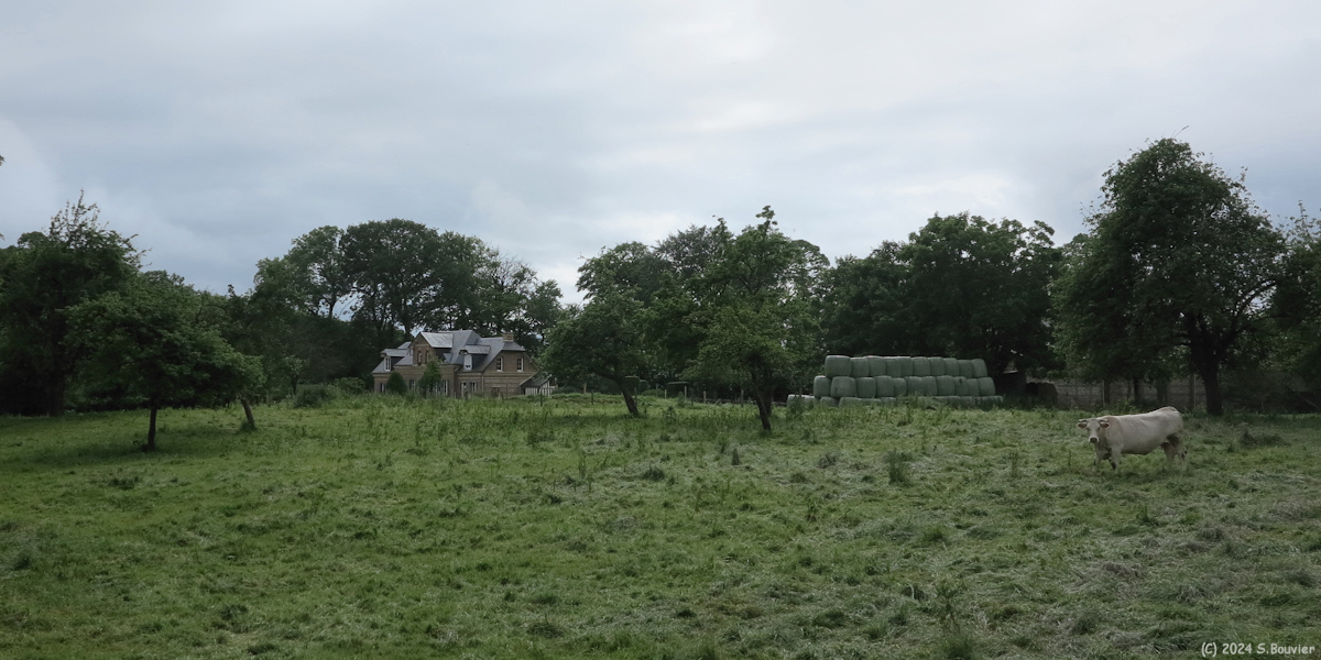 Gonneville la Mallet (Prairie)