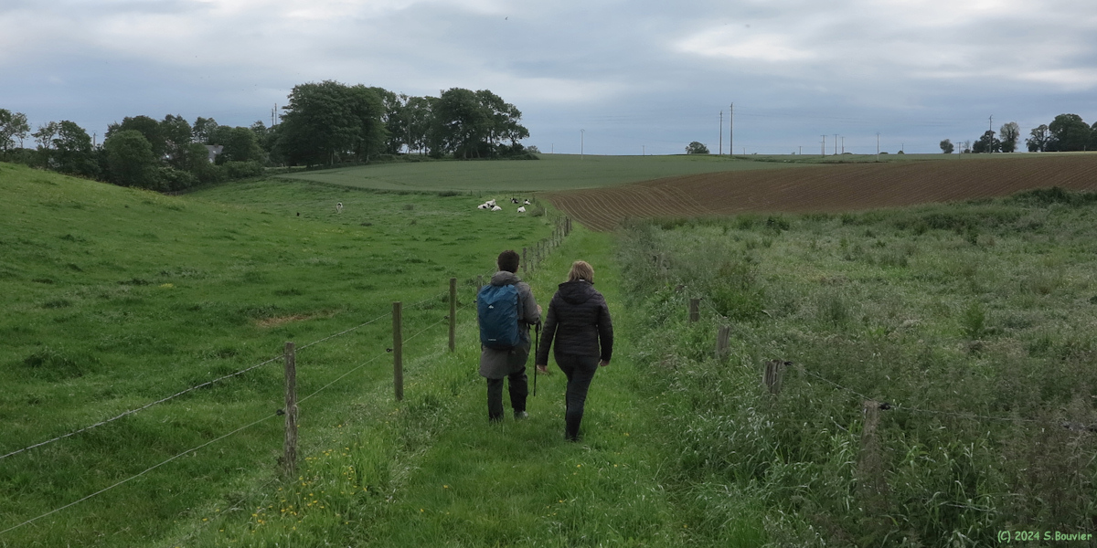 Gonneville la Mallet (Chemin 3)