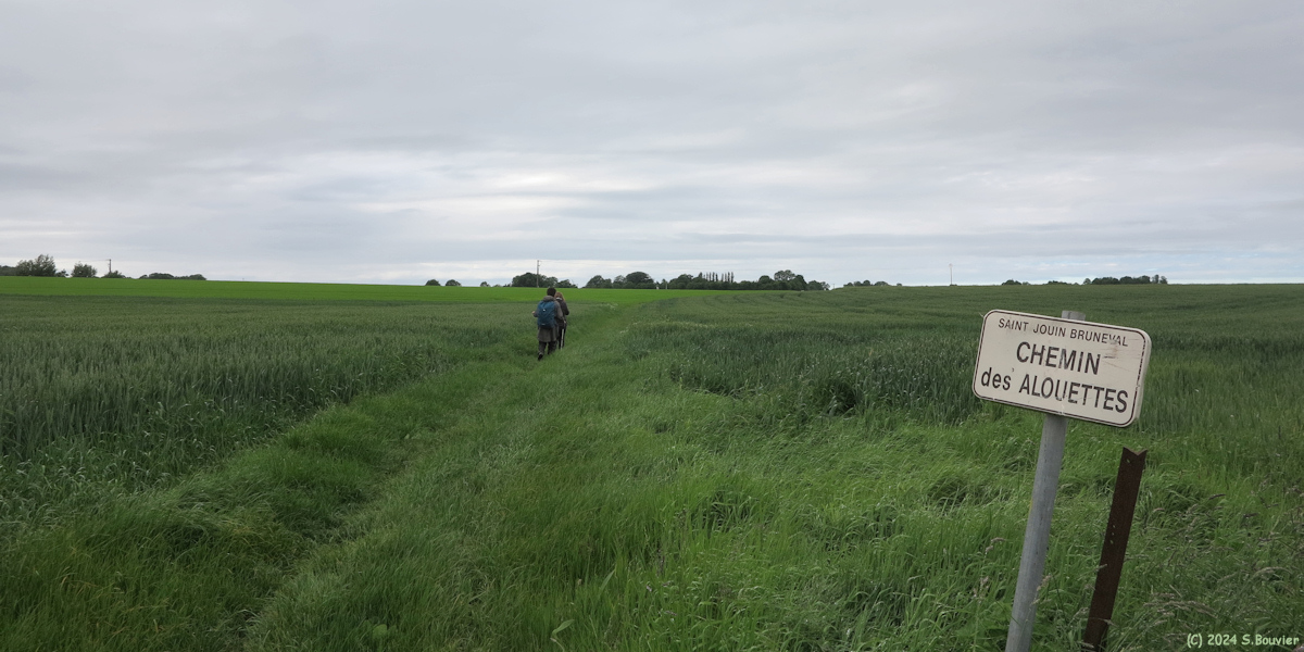 Saint Jouin Bruneval (Chemin 1)
