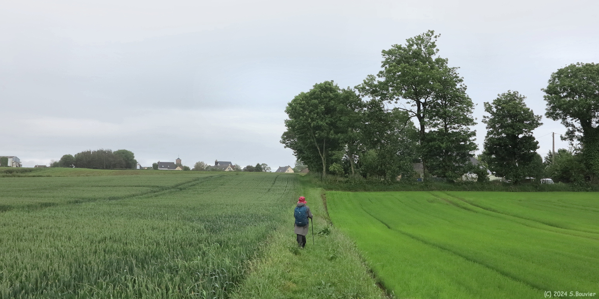 Gonneville la Mallet (Chemin 4)