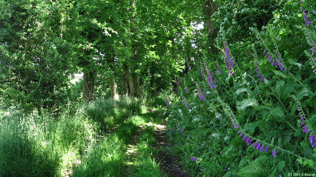 Turretot (Chemin 1)