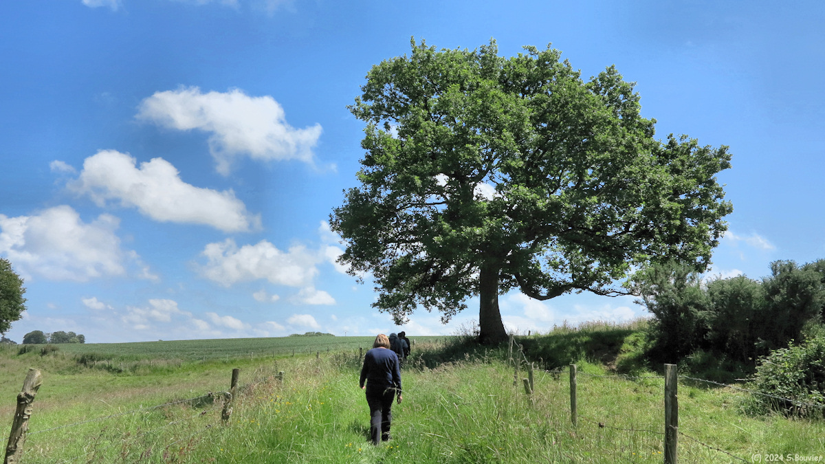 Turretot (Chemin 2)