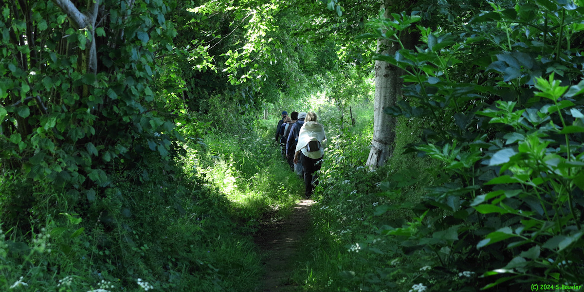 Notre Dame du Bec (Chemin)