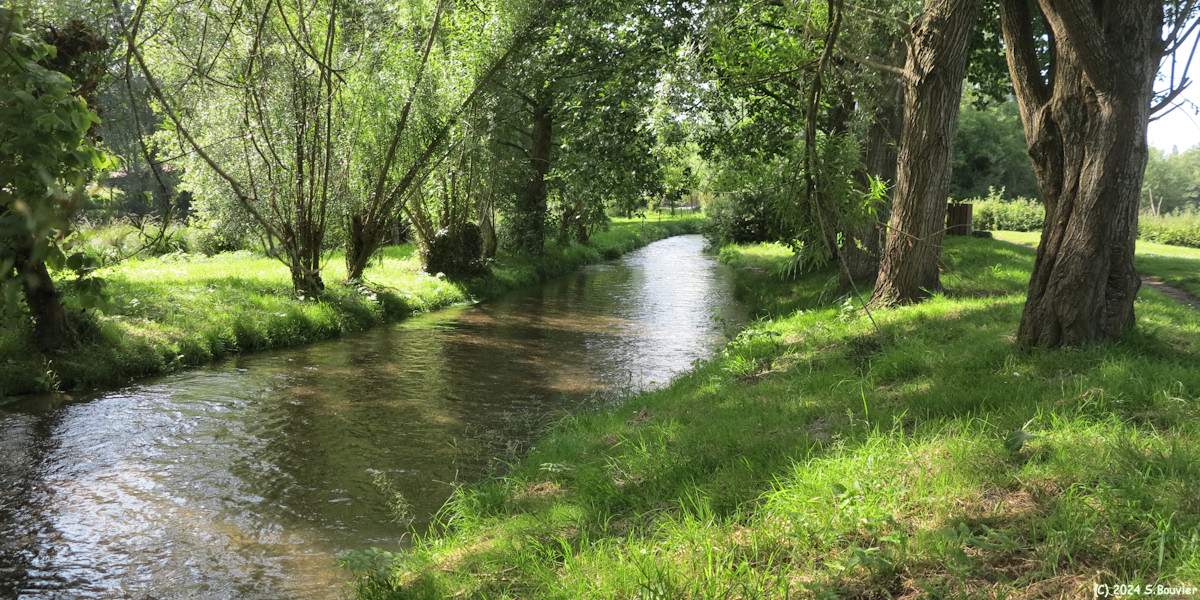 Rolleville (Lézarde)