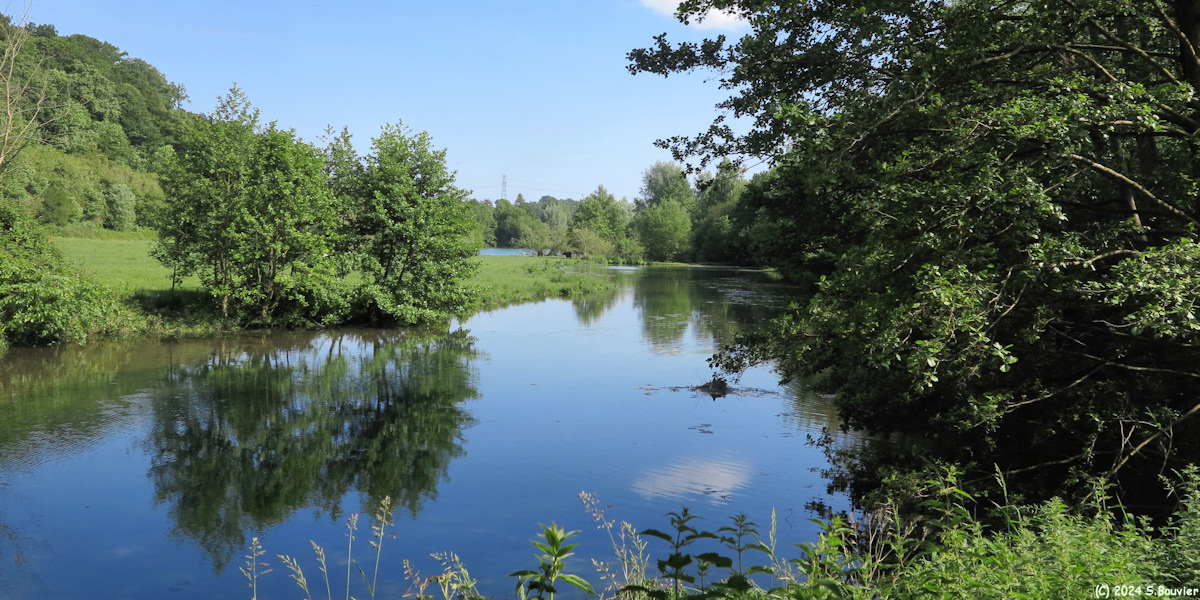 Rolleville (Etang)