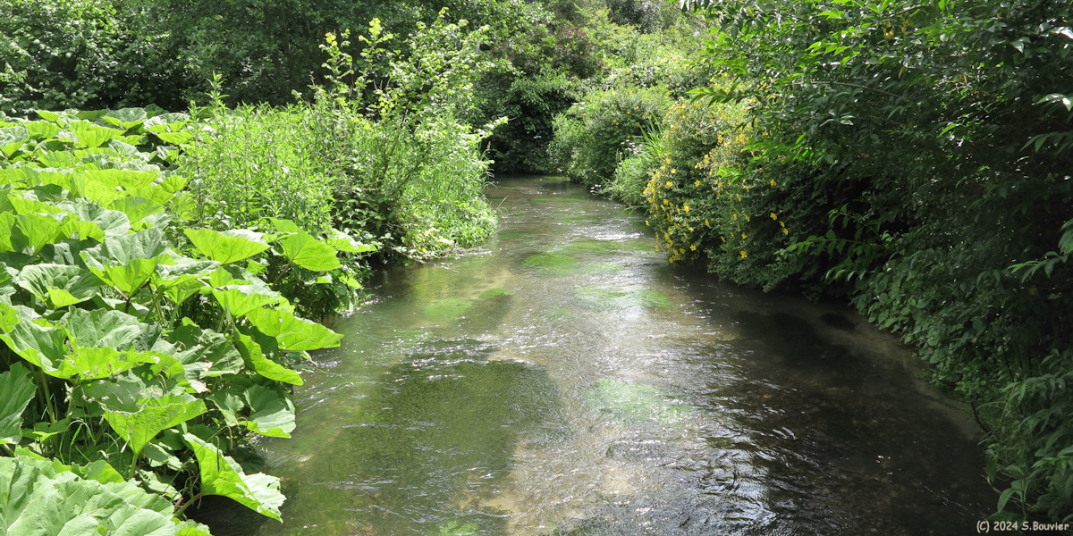 Rolleville (Lézarde)