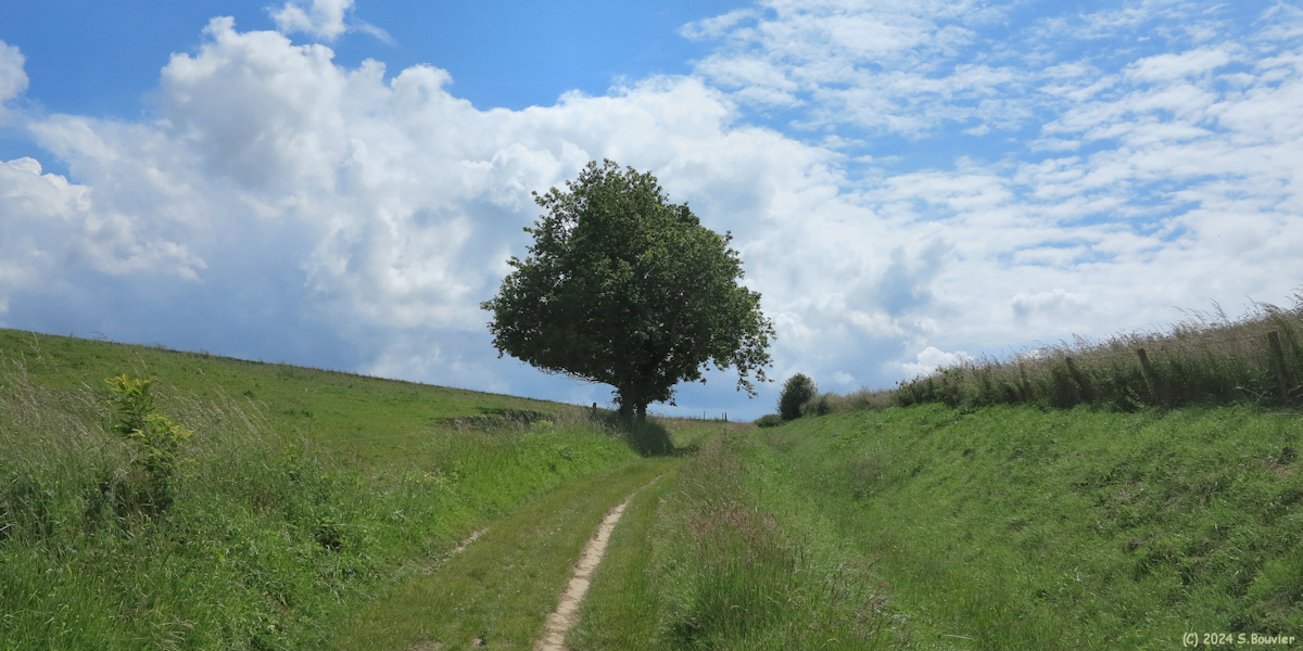 Rolleville (Chemin 1)