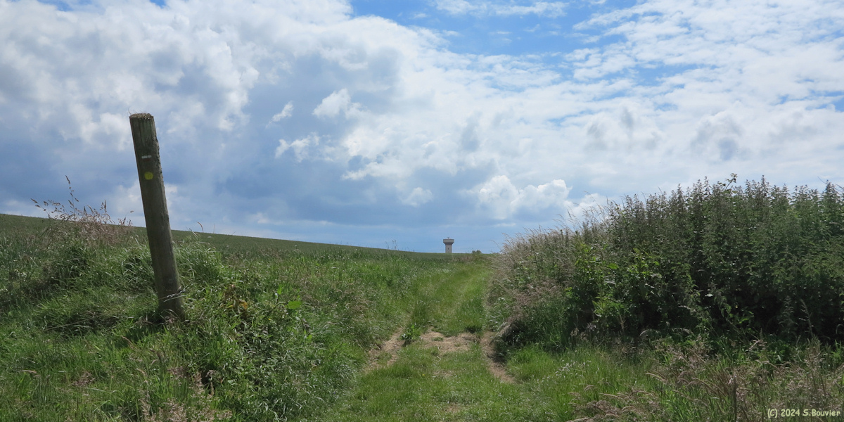 Rolleville (Chemin 2)