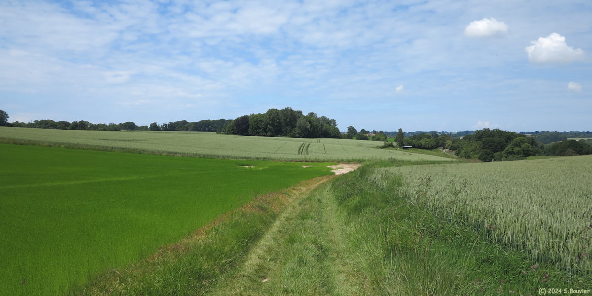 Rolleville (Chemin 3)