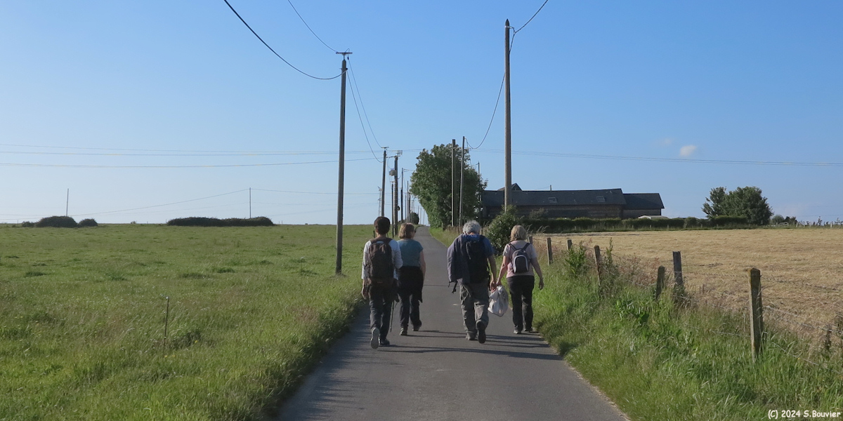 Rolleville (Route)