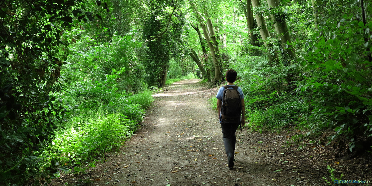 Montivilliers (Chemin)