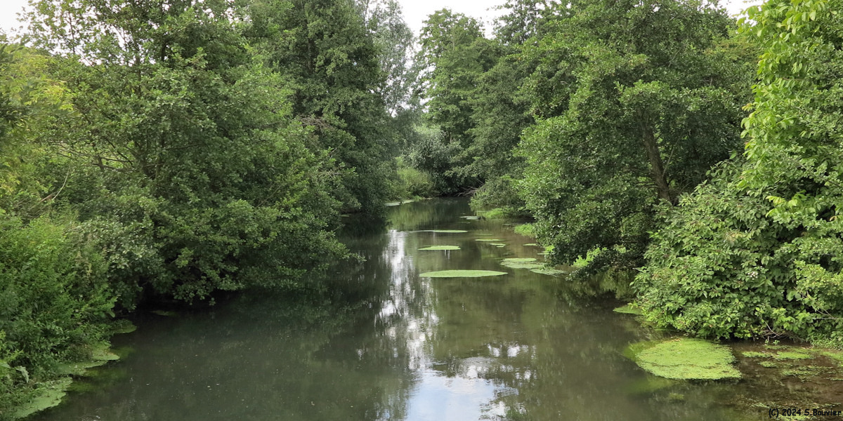 Harfleur (Lézarde 1)