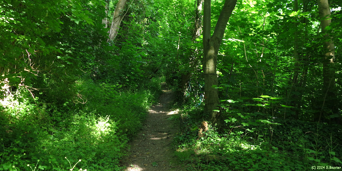 Harfleur (Chemin)
