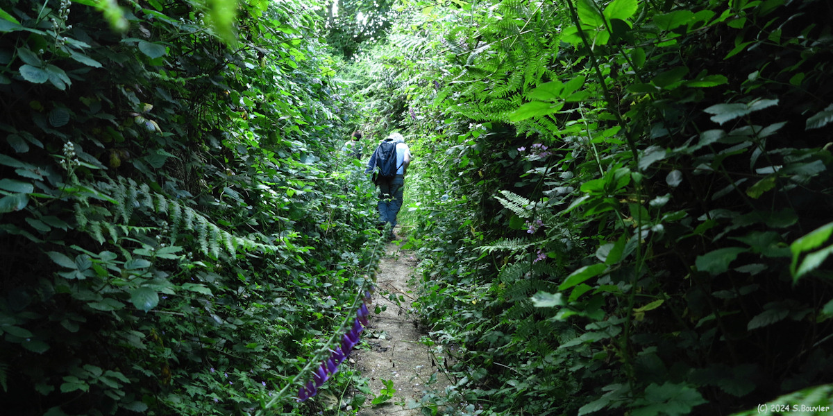 Montivilliers (Chemin)