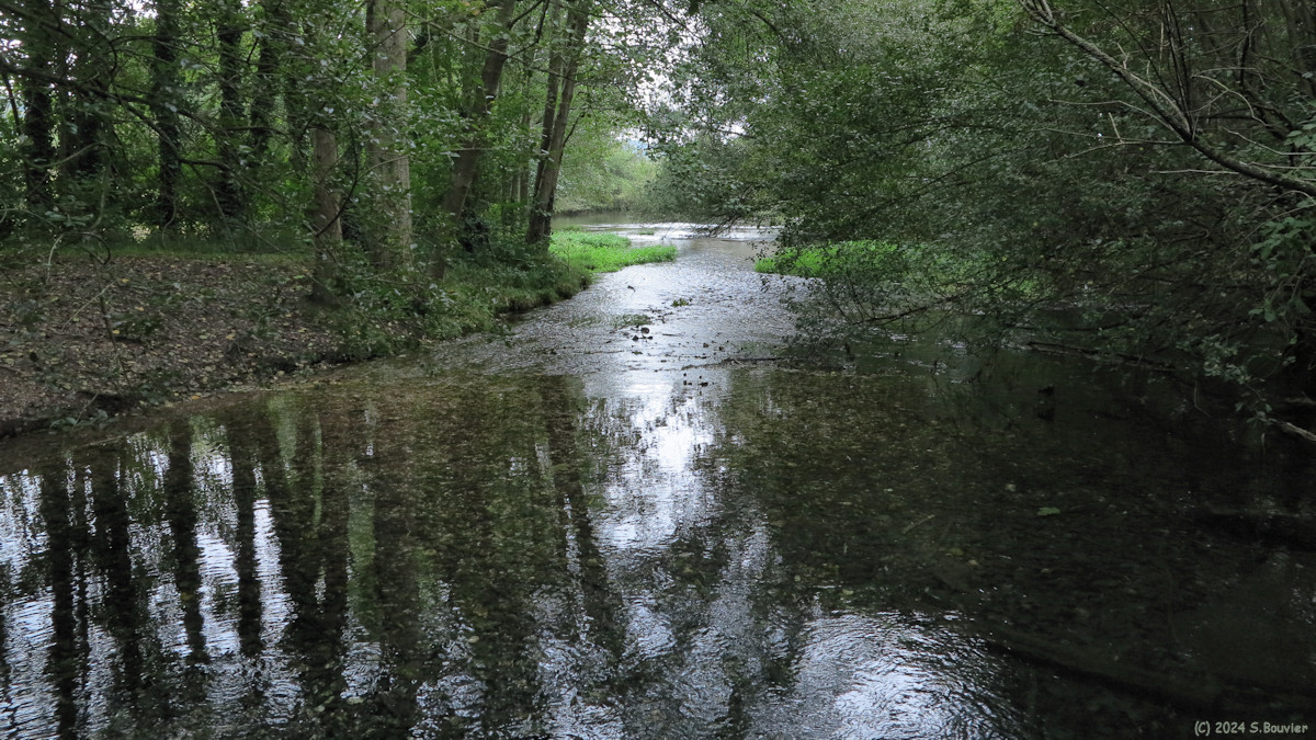 Saint Aubin le Cauf (Affluent 1)