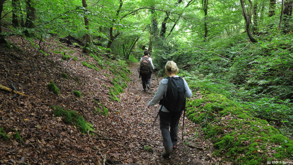 Massif de Pimont (Chemin 3)